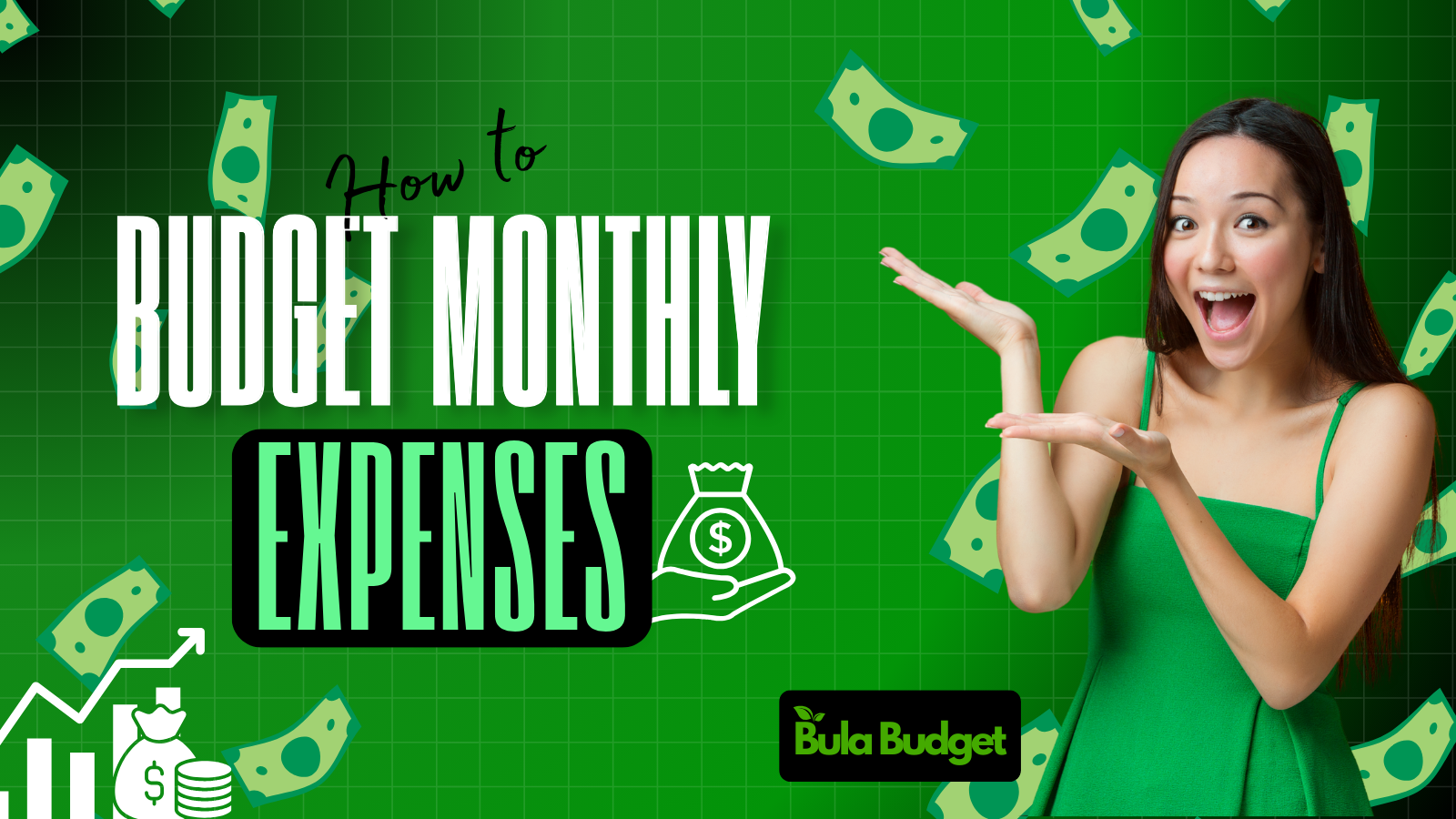 BulaBudget dashboard preview